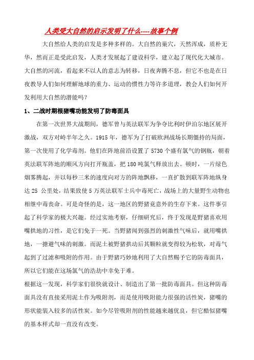 人类受大自然的启示发明了什么-故事个例