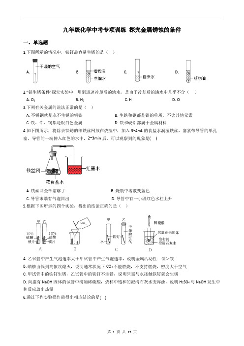 九年级化学中考专项训练 探究金属锈蚀的条件