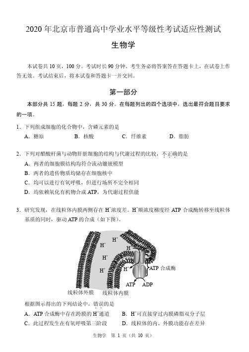 2020年北京市普通高中学业水平等级性考试适应性测试 生物(PDF版含答案)