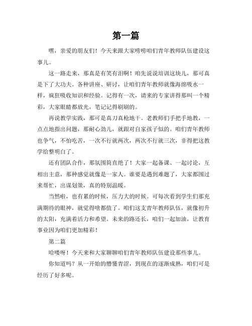 青年教师队伍建设总结