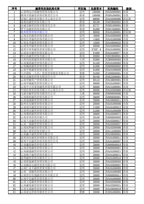 云南省担保公司(完整版)