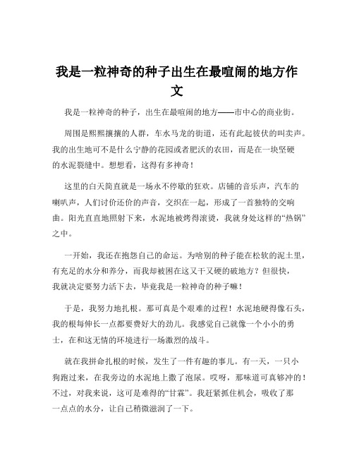 我是一粒神奇的种子出生在最喧闹的地方作文