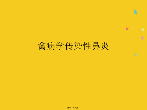 禽病学传染性鼻炎(共10张PPT)