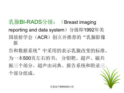 乳腺超声BIRADS分级课件