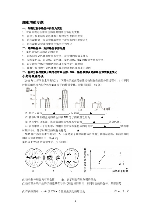 减数分裂专题复习