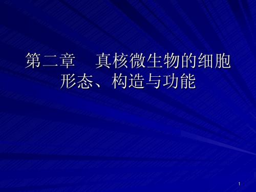 2章 真核微生物的细胞形态、结构和功能_