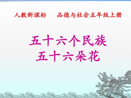 五十六个民族 (2)