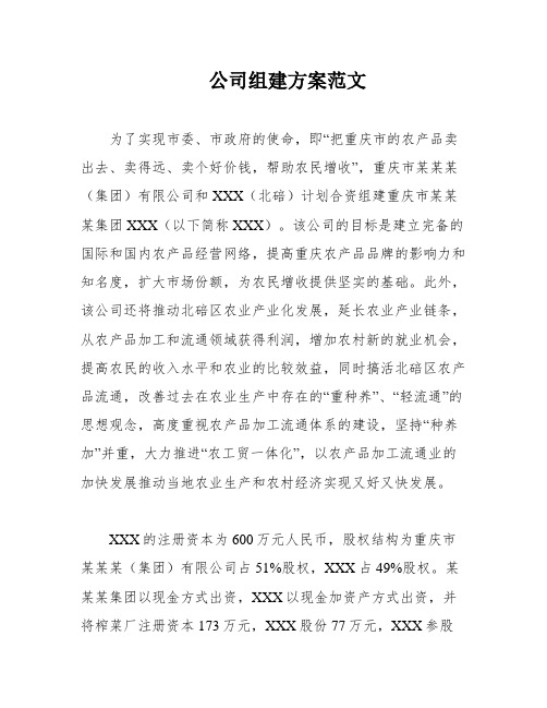 公司组建方案范文