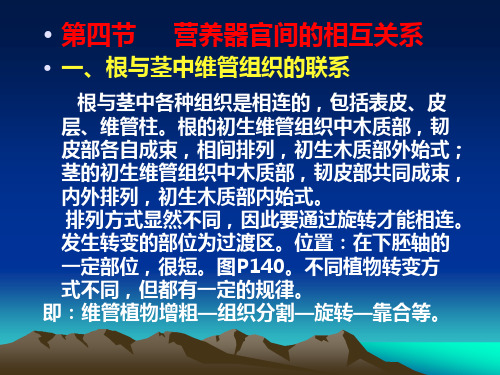 第四节营养器官间的相互关系一、根与茎中维管组织的联系