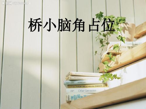 桥小脑角占位-PPT精品文档