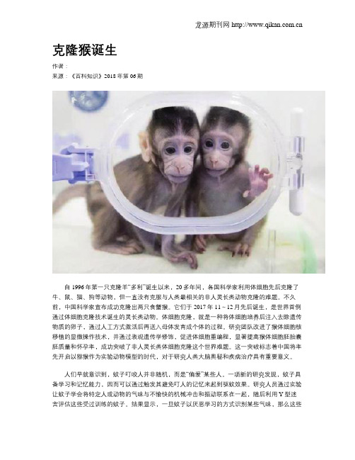 克隆猴诞生