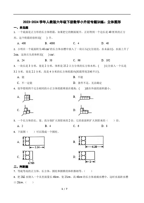 2023-2024学年人教版六年级下册数学小升初专题训练：立体图形