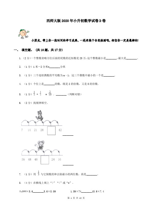 西师大版2020年小升初数学试卷 D卷