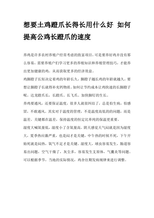 想要土鸡蹬爪长得长用什么好 如何提高公鸡长蹬爪的速度