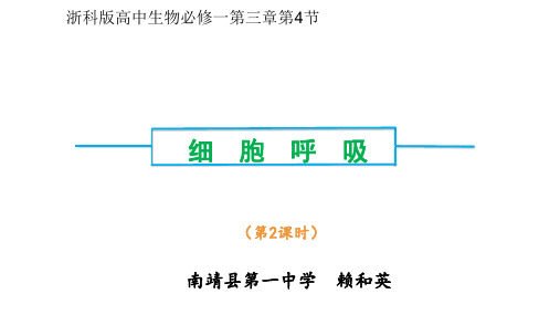 浙科版高中生物必修一 3.4 细胞呼吸(共26张PPT)