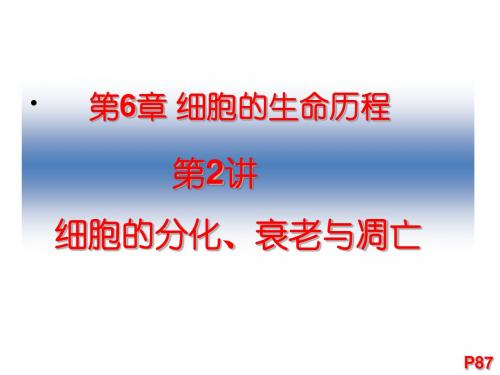 1-6-2细胞的分化、衰老、凋亡和癌变