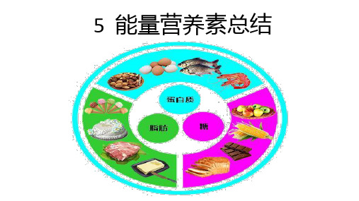 营养学笔记5能量营养素总结