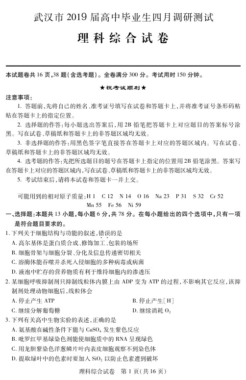 2019届武汉市高三四月理综试题