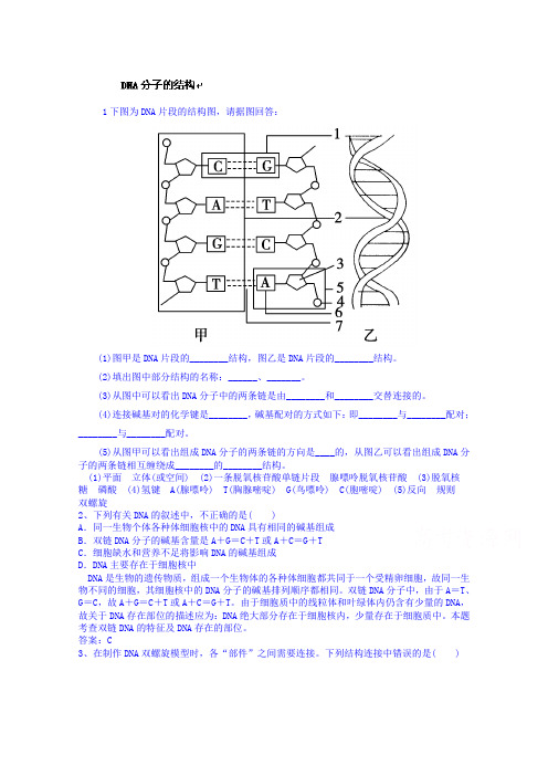 高考生物总复习全套演练：2-6DNA分子的结构(Word版,含答案)