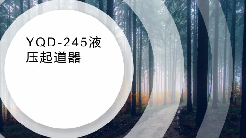 YQD-245液压起道器技术参数