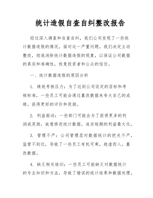 统计造假自查自纠整改报告