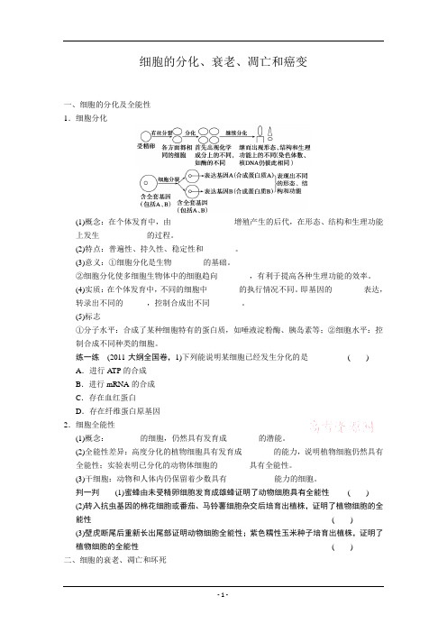 复习教案：细胞的分化、衰老、凋亡和癌变