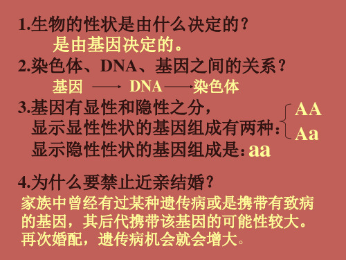 人教版八年级生物下册第7单元第2章第四节人的性别遗传 课件(共17张PPT)