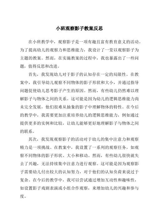 小班观察影子教案反思