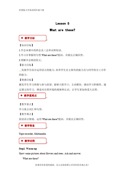 科普版小学英语四年级下册Lesson5 What are these优质教案