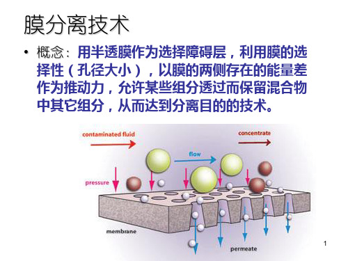 生物工程下游技术第六章膜分离过程