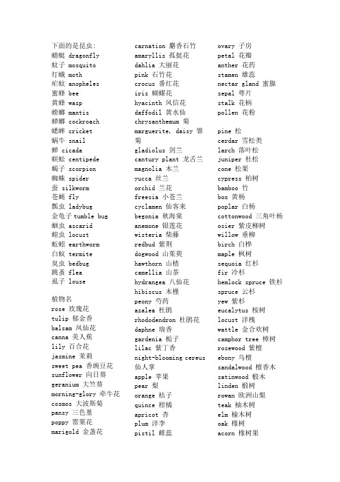 昆虫动物植物名字翻译