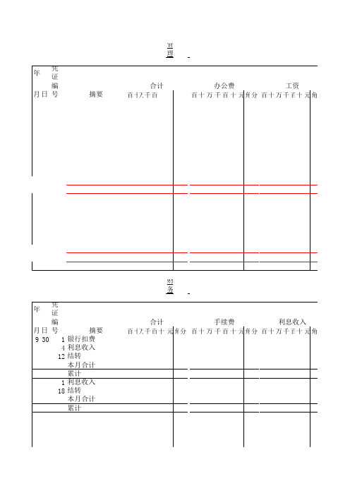 明细分类帐