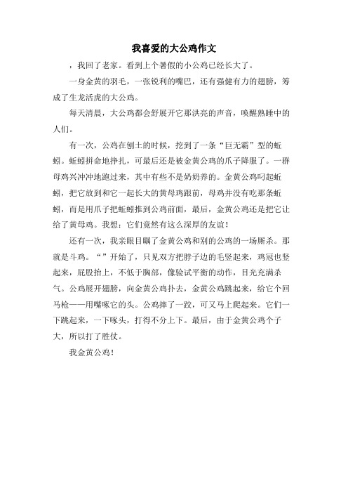 我喜爱的大公鸡作文