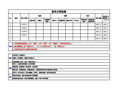 胜任力评估表