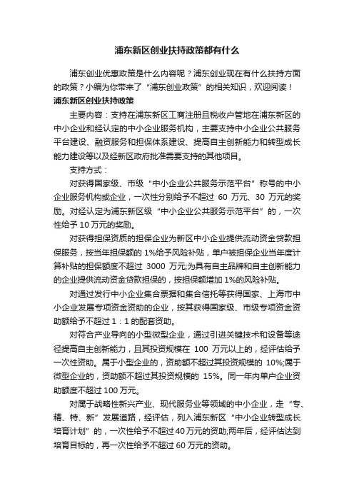 浦东新区创业扶持政策都有什么