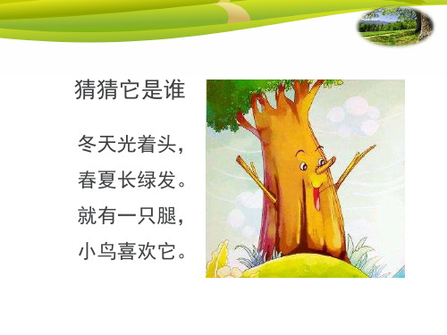 2 树之歌 课件(共20张PPT).ppt