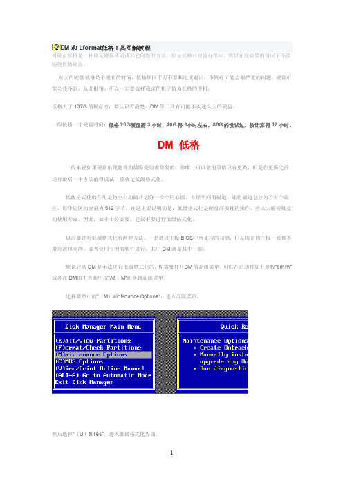 DM和Lformat低格工具图解教程