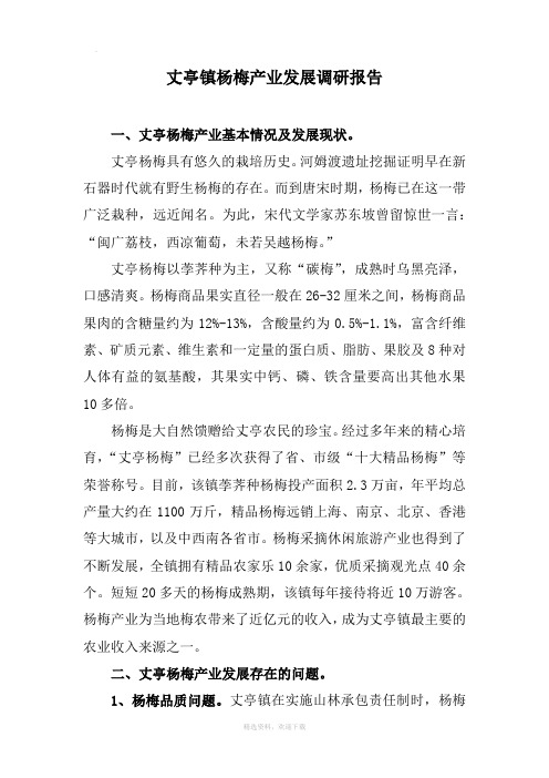 余姚丈亭杨梅产业发展调研报告