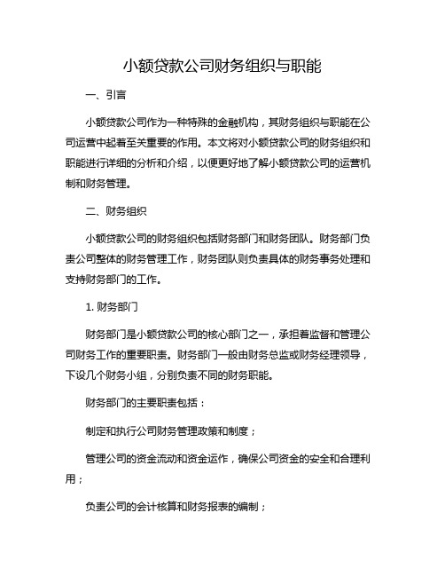 小额贷款公司财务组织与职能