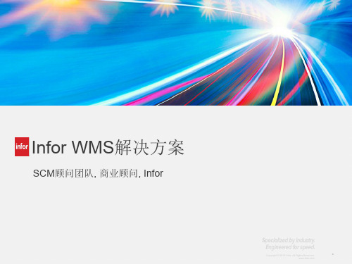 Infor WMS标准解决方案 pdf 