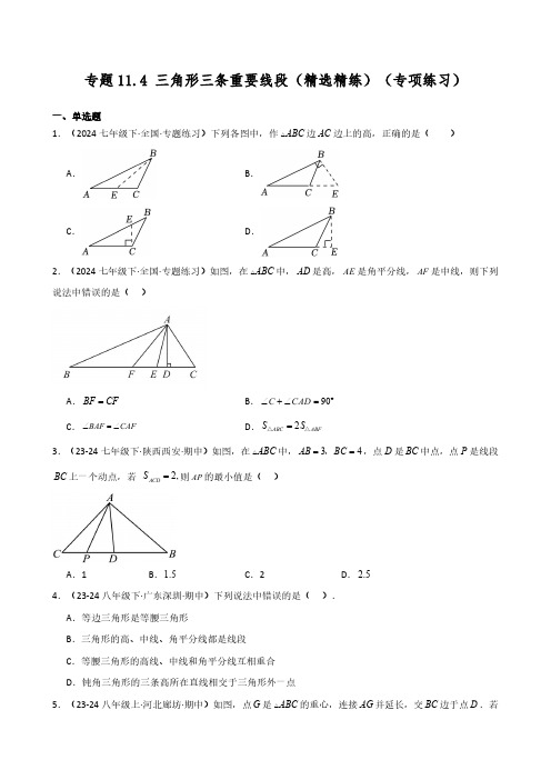 三角形三条重要线段(精选精练)(专项练习)(教师版) 2024-2025学年八年级数学上册专项练习