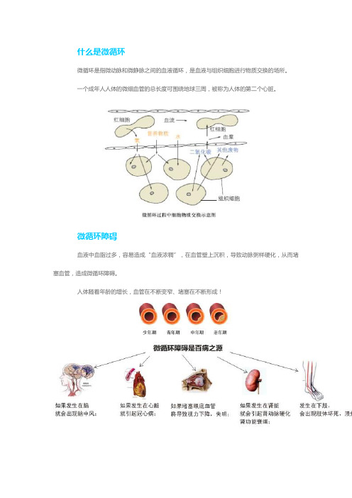 皇蒸生物频谱理疗堡改善人体微循环的原理