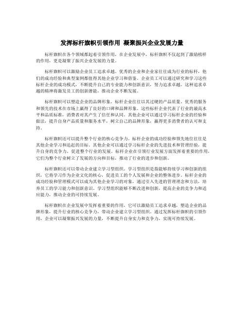 发挥标杆旗帜引领作用 凝聚振兴企业发展力量