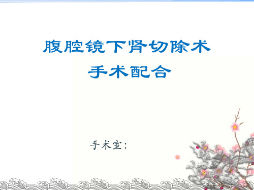 腹腔镜下肾切除术手术配合 PPT课件