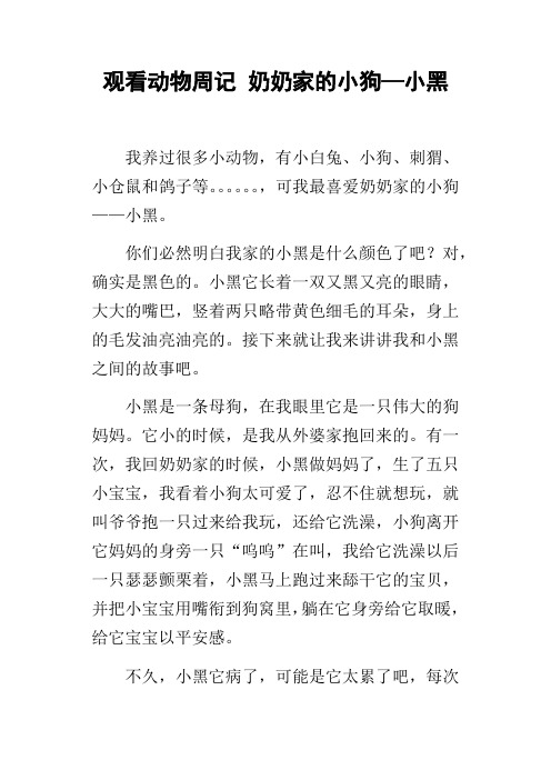 观看动物周记奶奶家的小狗—小黑