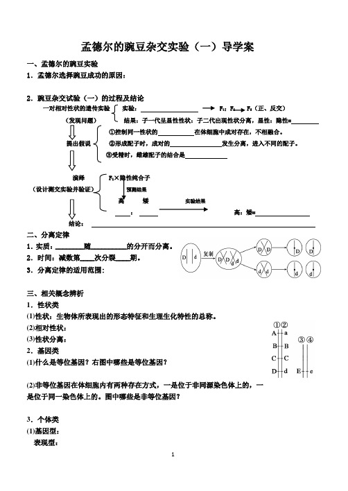 基因分离定律导学案