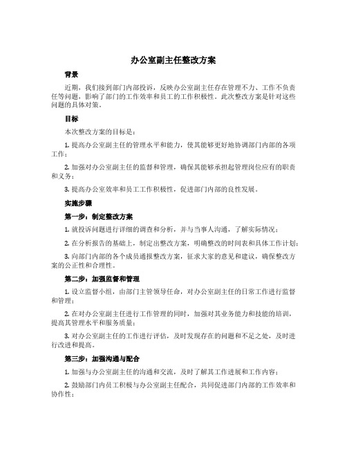 办公室副主任整改方案