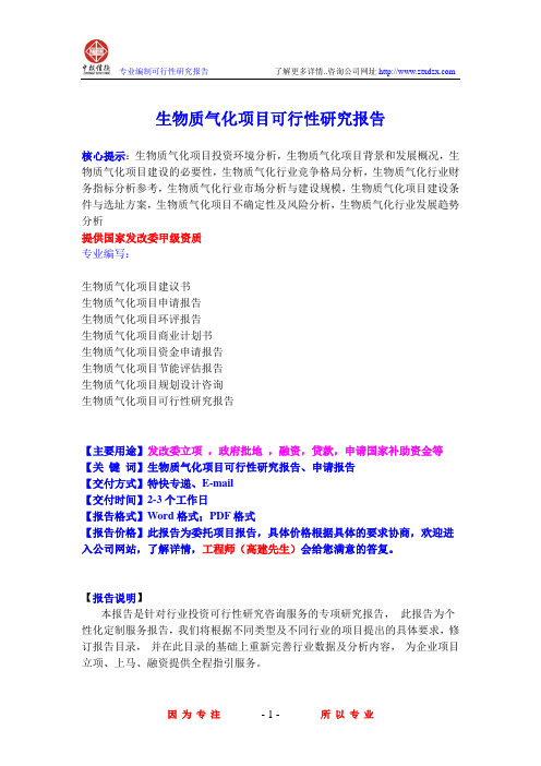 生物质气化项目可行性研究报告