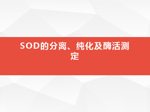 SOD的分离、纯化及酶活测定