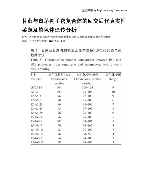 甘蔗与斑茅割手密复合体的回交后代真实性鉴定及染色体遗传分析